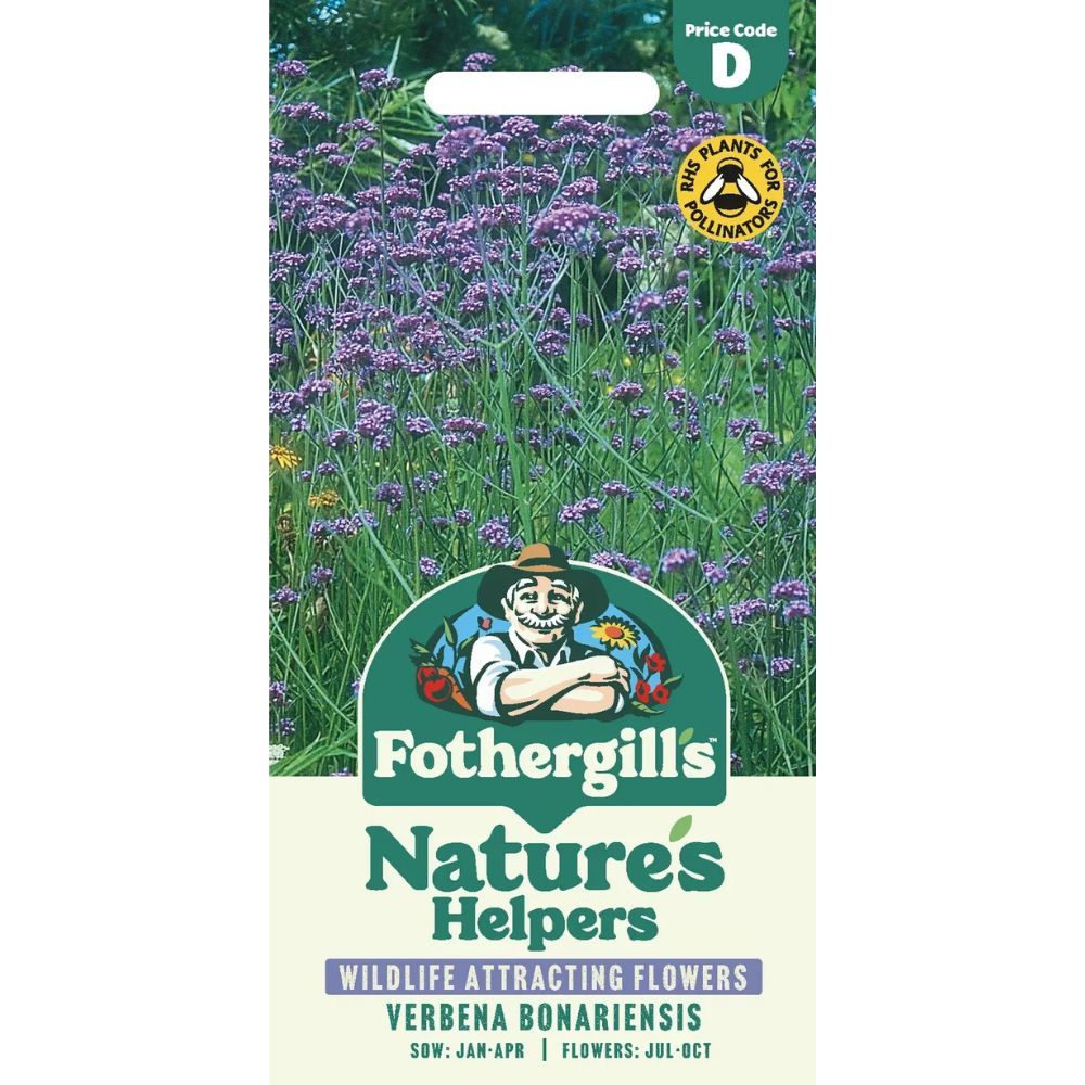 Mr Fothergill's Verbena Bonariensis Seeds