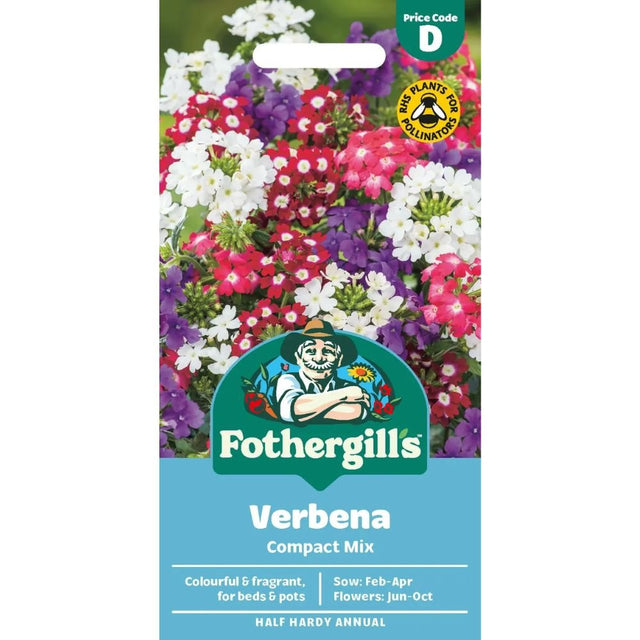 Mr Fothergill's Verbena Compact Mixed Seeds - Old Railway Line Garden Centre