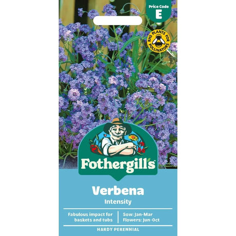 Mr Fothergill's Verbena Intensity Seeds - Old Railway Line Garden Centre