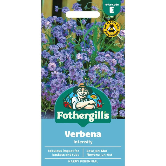 Mr Fothergill's Verbena Intensity Seeds - Old Railway Line Garden Centre