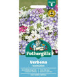 Mr Fothergill's Verbena Scentsation Seeds - Old Railway Line Garden Centre