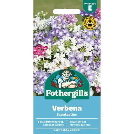 Mr Fothergill's Verbena Scentsation Seeds - Old Railway Line Garden Centre