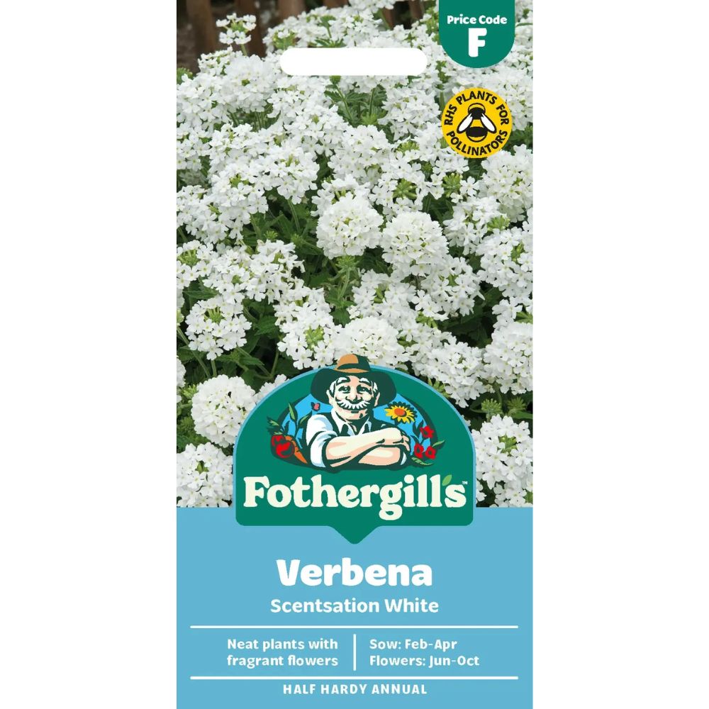 Mr Fothergill's Verbena Scentsation White Seeds