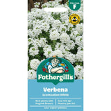 Mr Fothergill's Verbena Scentsation White Seeds