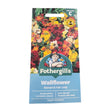 Mr Fothergill's Wallflower Monarch Fair Lady Seeds - Old Railway Line Garden Centre