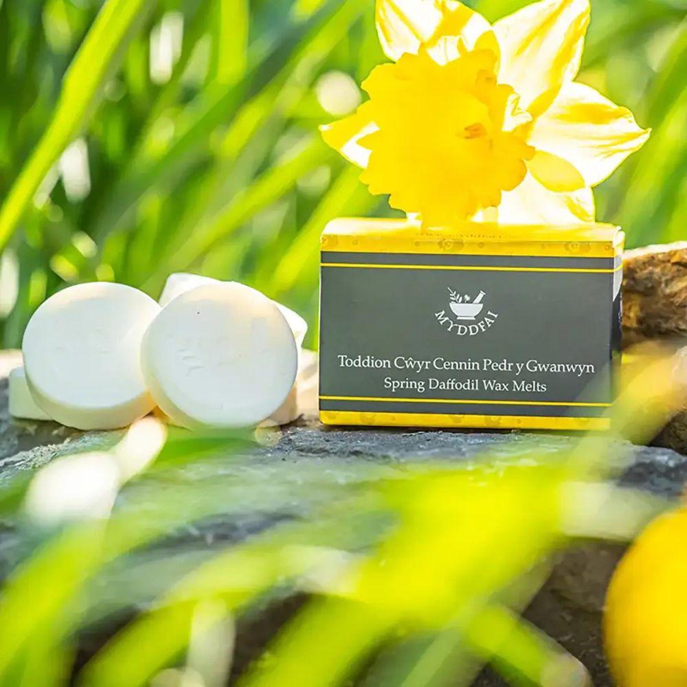 Myddfai 100g Wax Melts Cennin Pedr y Gwanwyn (Spring Daffodil)