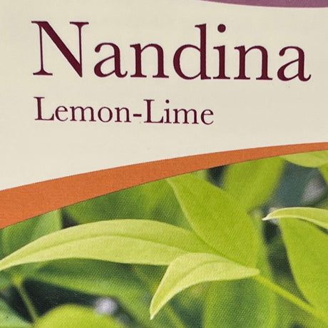 Nandina Domestica 'Magical Lemon-Lime' Plant - 3Ltr Pot