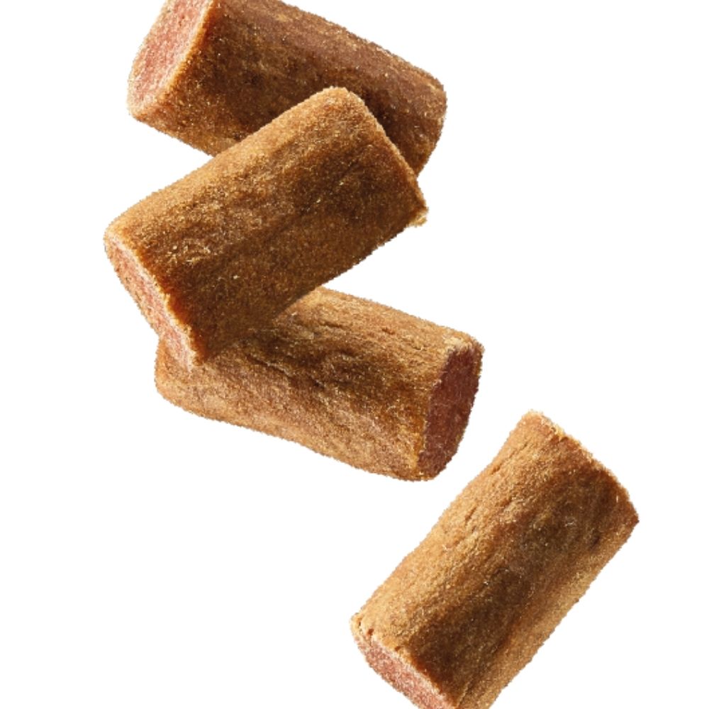 Natures Menu 50g Puppy Treats