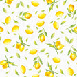 N.J Products Citrus Dunicel Tablecover (Pack 5) - Old Railway Line Garden Centre