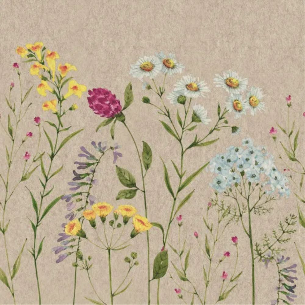 N.J  Products Field Blooms Paper Napkins - Pack of 20
