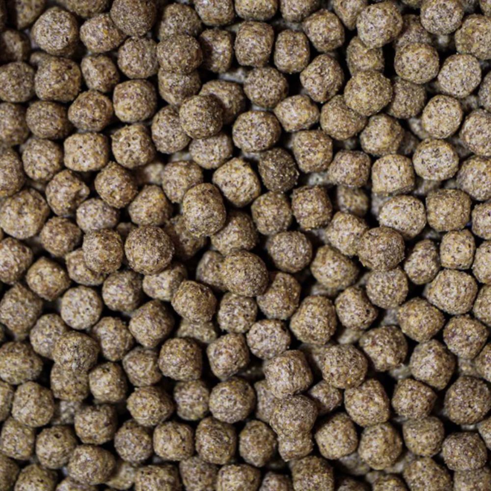 NT Labs 1.75 Medikoi Wheatgerm with Garlic Fish Food