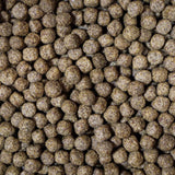 NT Labs 1.75 Medikoi Wheatgerm with Garlic Fish Food