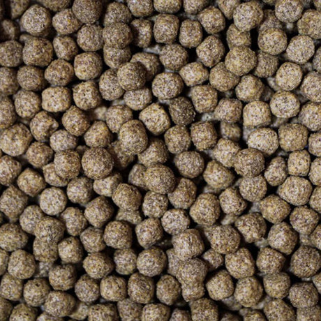 NT Labs 1.75 Medikoi Wheatgerm with Garlic Fish Food