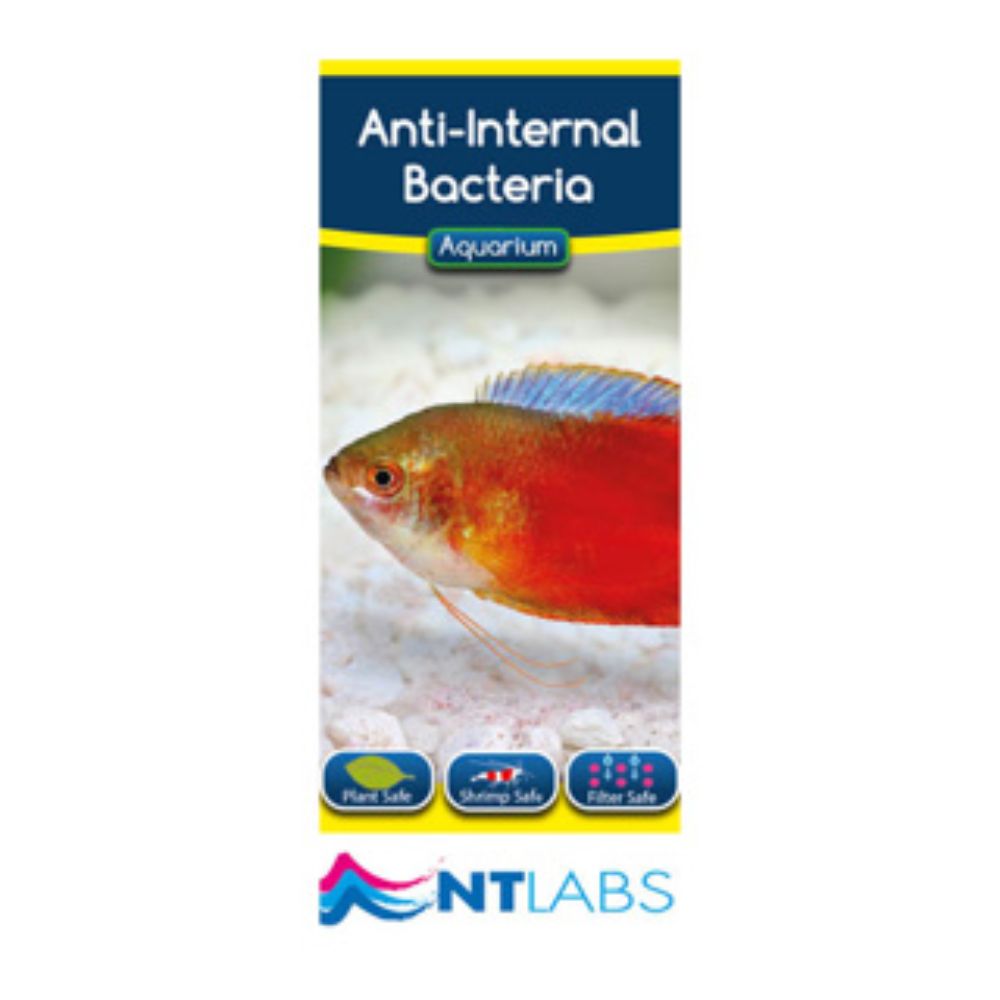 NT Labs 100ml Anti-Internal Bacteria Treatment