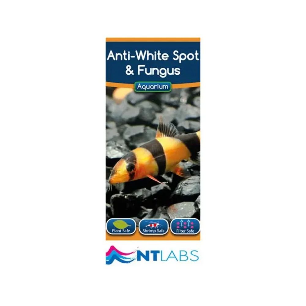 NT Labs 100ml Anti-White Spot & Fungus Treatment - Old Railway Line Garden Centre