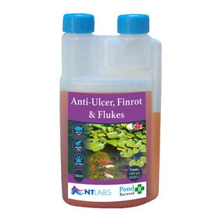 NT Labs 250ml Bacterad - Anti - ulcer, Finrot & Flukes - Old Railway Line Garden Centre