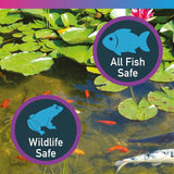 NT Labs Bacterad 500ml Pond Anti Bacterial Fish Treatment Ulcer Fin Rot - Old Railway Line Garden Centre