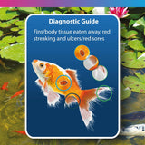 NT Labs Bacterad 500ml Pond Anti Bacterial Fish Treatment Ulcer Fin Rot - Old Railway Line Garden Centre