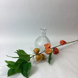 Eleganza Floral 80cm Physalis/Chinese Lantern Spray Orange