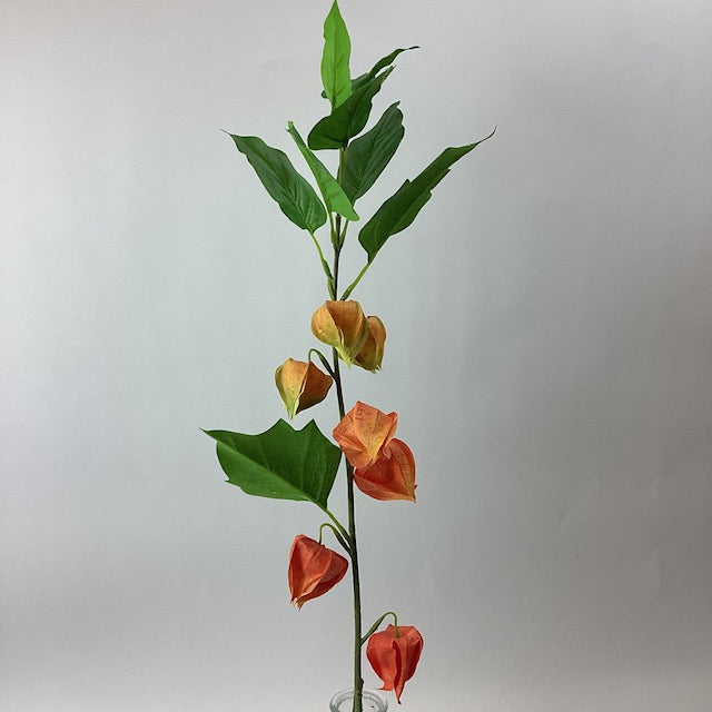 Eleganza Floral 80cm Physalis/Chinese Lantern Spray Orange