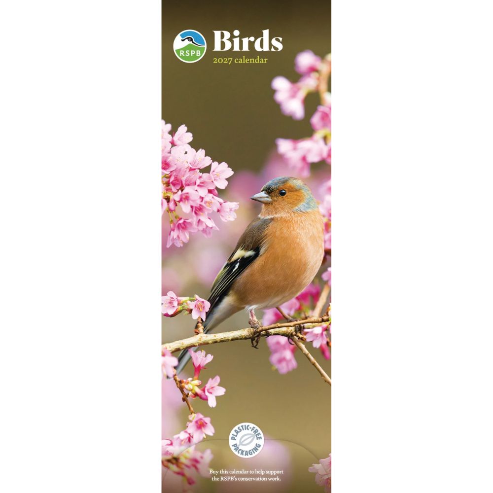 Otter House Birds RSPB Slim Calendar 2027