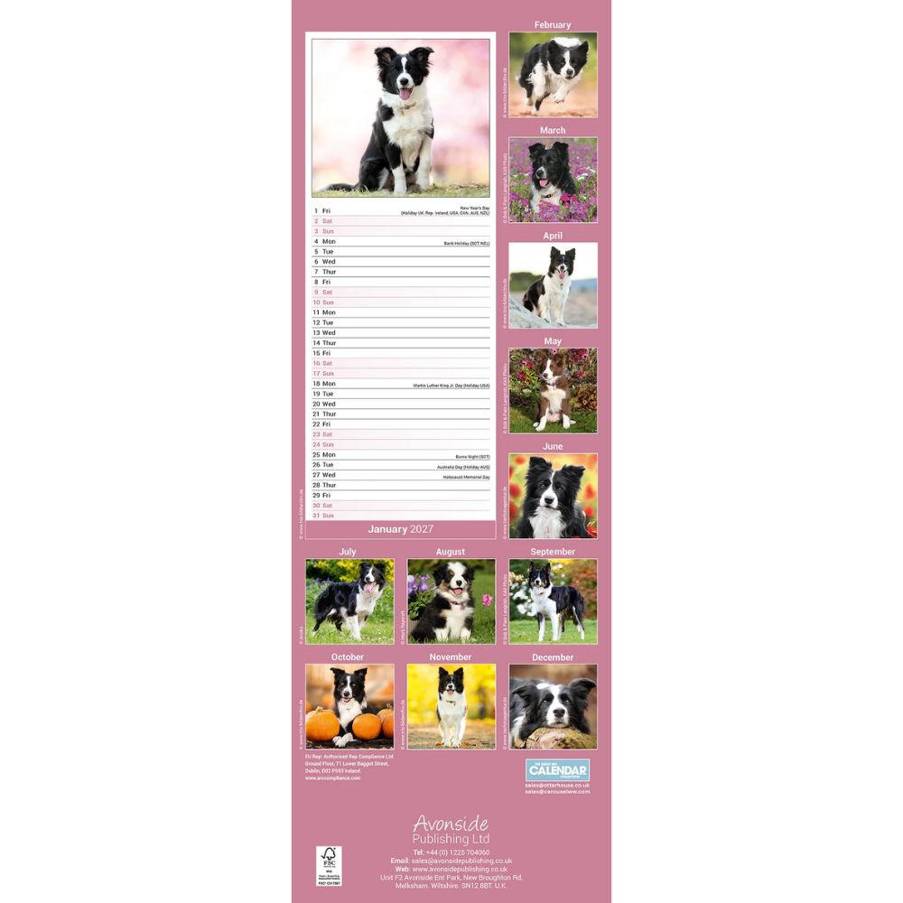 Otter House Border Collie Slim Calendar 2027