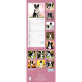Otter House Border Collie Slim Calendar 2027