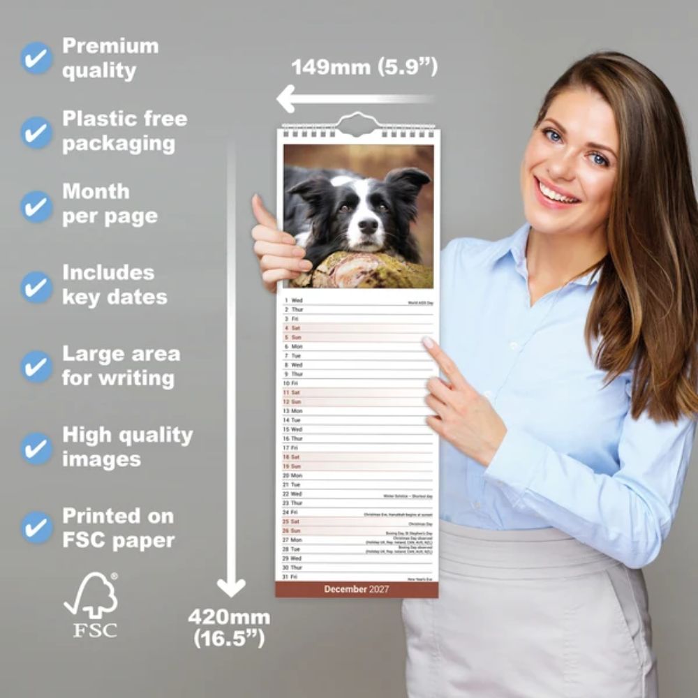 Otter House Border Collie Slim Calendar 2027