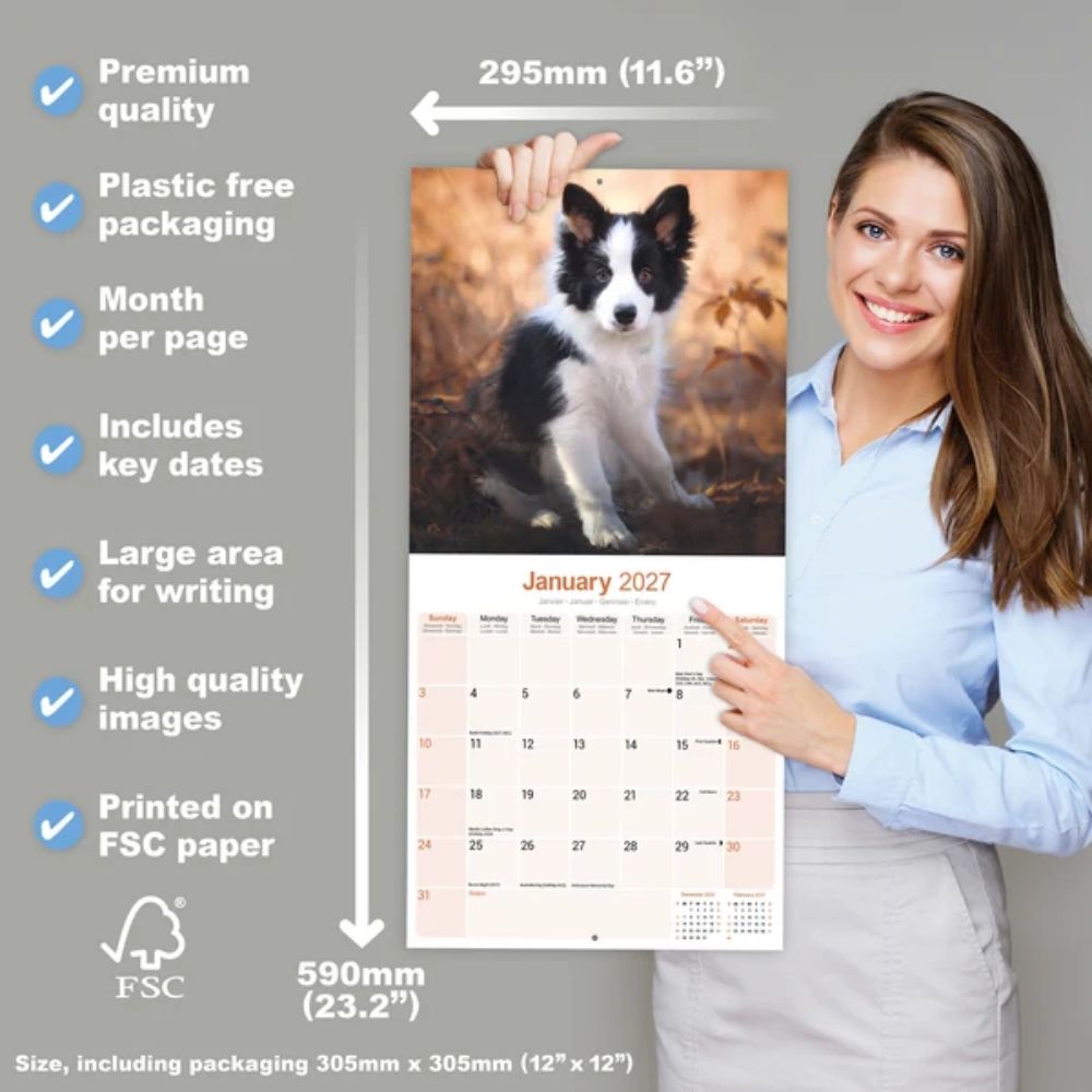 Otter House Border Collie Wall Calendar 2027