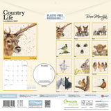 Otter House Bree Merryn British Wildlife Wall Calendar 2027