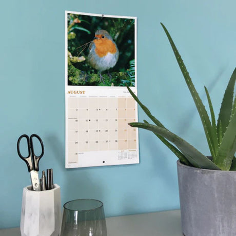 Otter House British Garden Birds Mini Calendar 2026