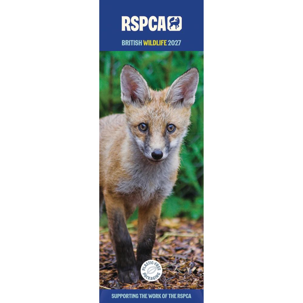 Otter House British Wildlife RSPCA Slim Calendar 2027