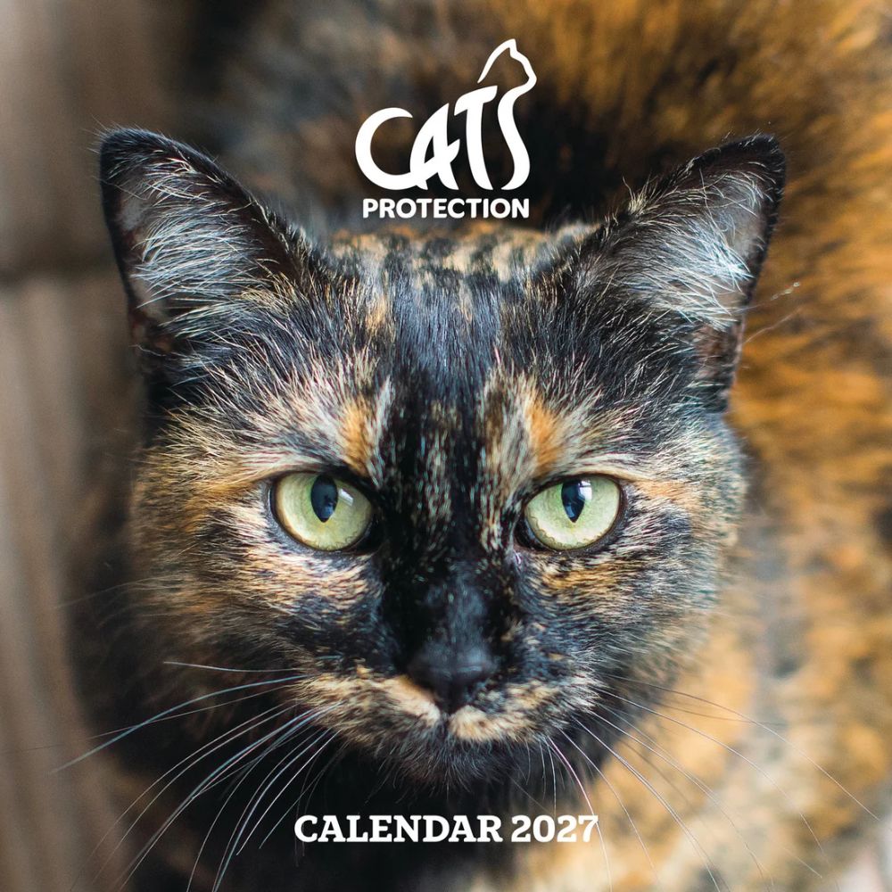 Otter House Cats Protection Wall Calendar 2027