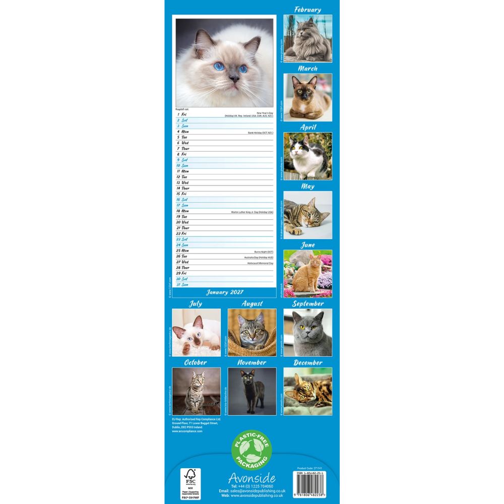 Otter House Cats Slim Calendar 2027