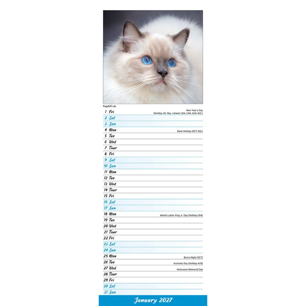 Otter House Cats Slim Calendar 2027