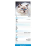 Otter House Cats Slim Calendar 2027