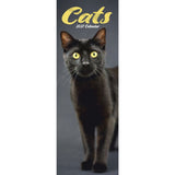 Otter House Cats Slim Calendar 2027