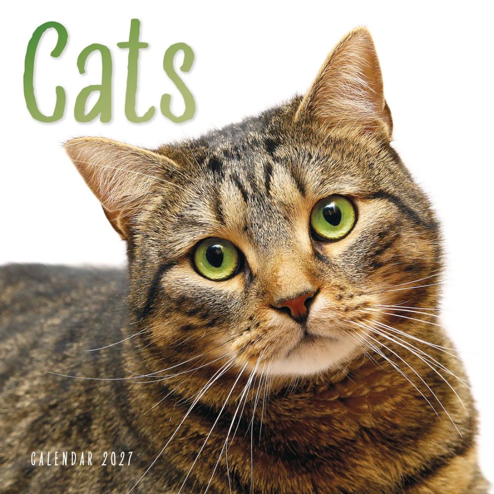 Otter House Cats Wall Calendar 2027