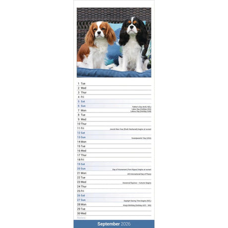 Otter House Cavalier King Charles Spaniel Slim Calendar 2026