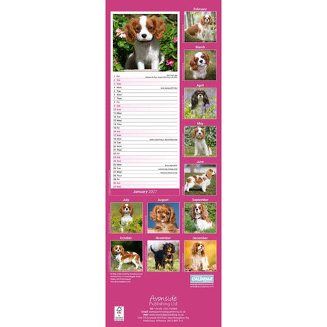 Otter House Cavalier King Charles Spaniel Slim Calendar 2027