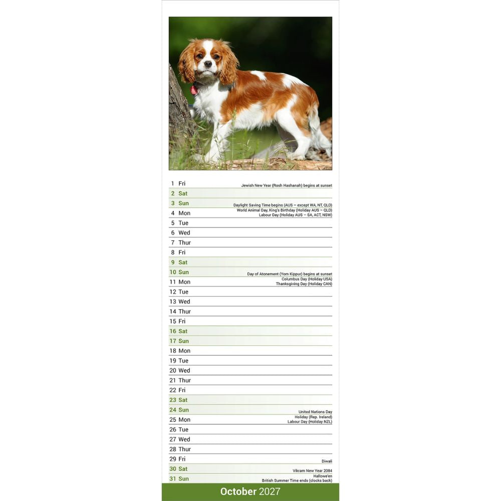 Otter House Cavalier King Charles Spaniel Slim Calendar 2027