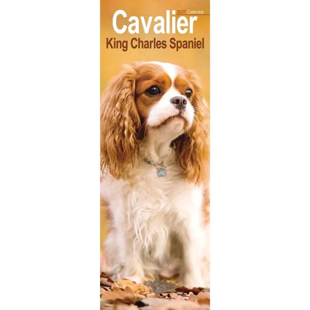 Otter House Cavalier King Charles Spaniel Slim Calendar 2027