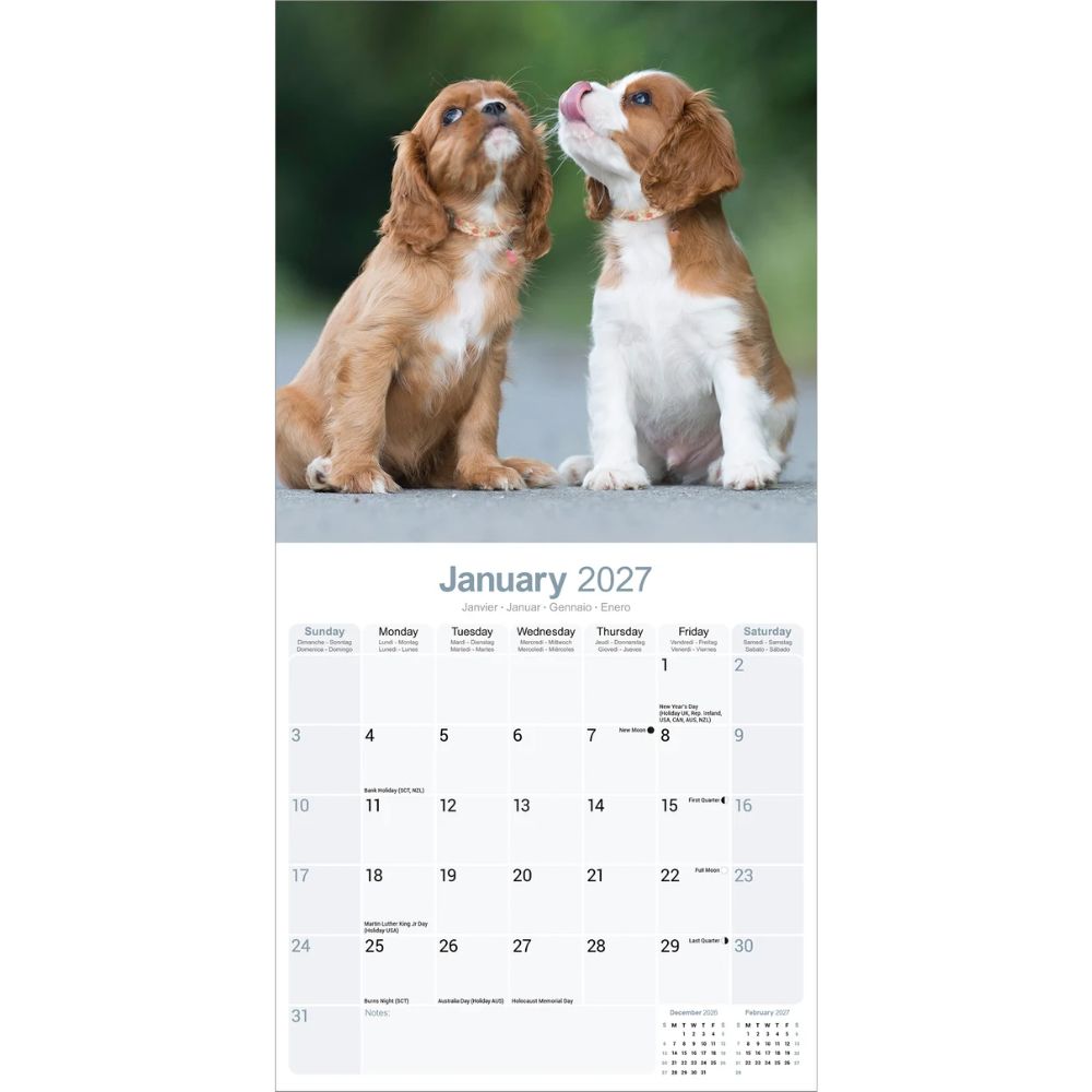 Otter House Cavalier King Charles Spaniel Wall Calendar 2027