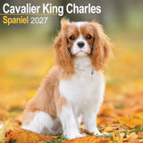 Otter House Cavalier King Charles Spaniel Wall Calendar 2027