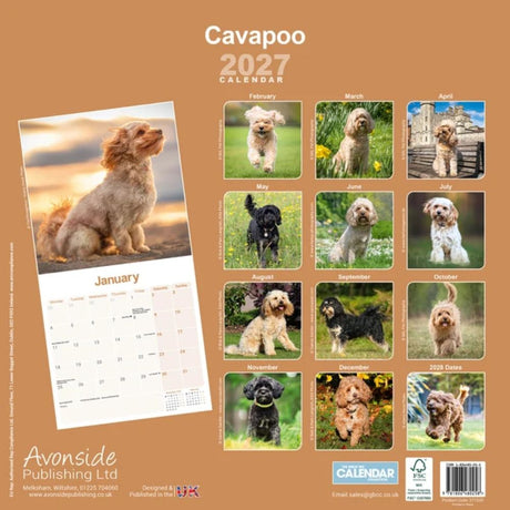 Otter House Cavapoo Wall Calendar 2027