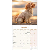 Otter House Cavapoo Wall Calendar 2027