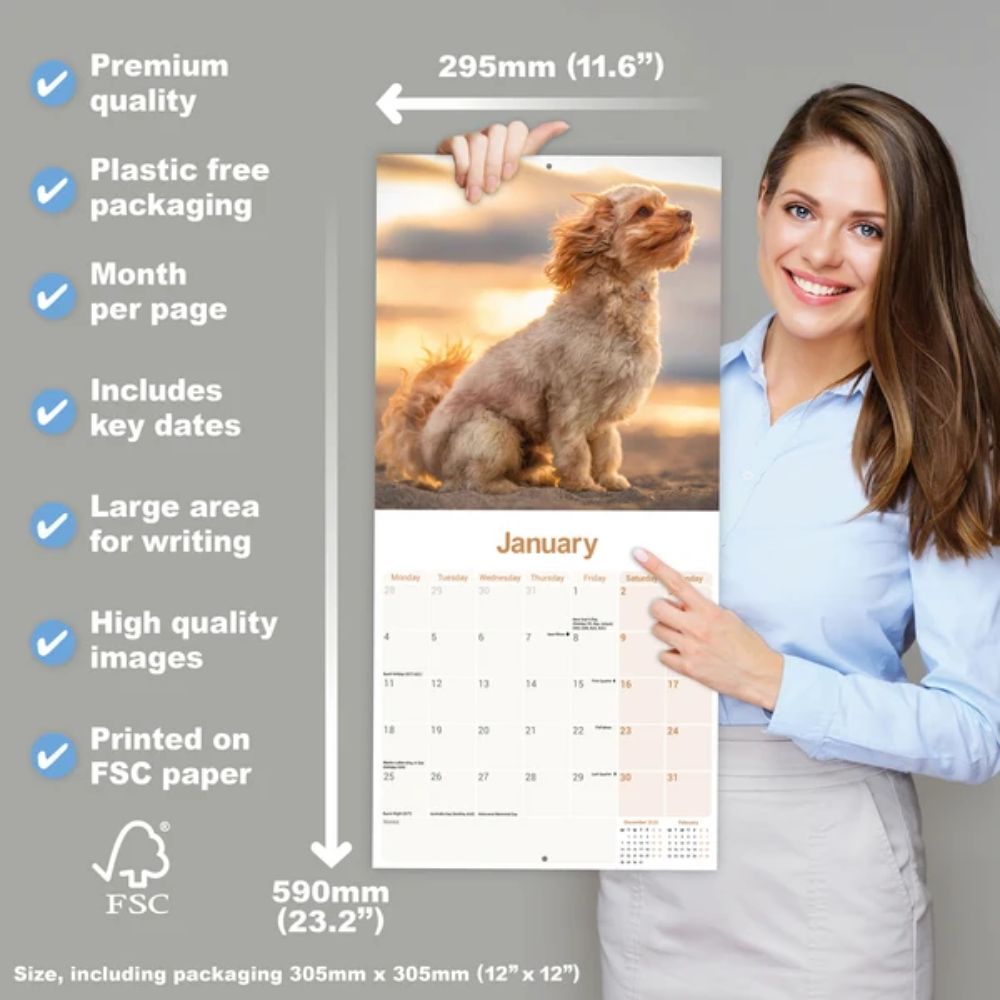 Otter House Cavapoo Wall Calendar 2027
