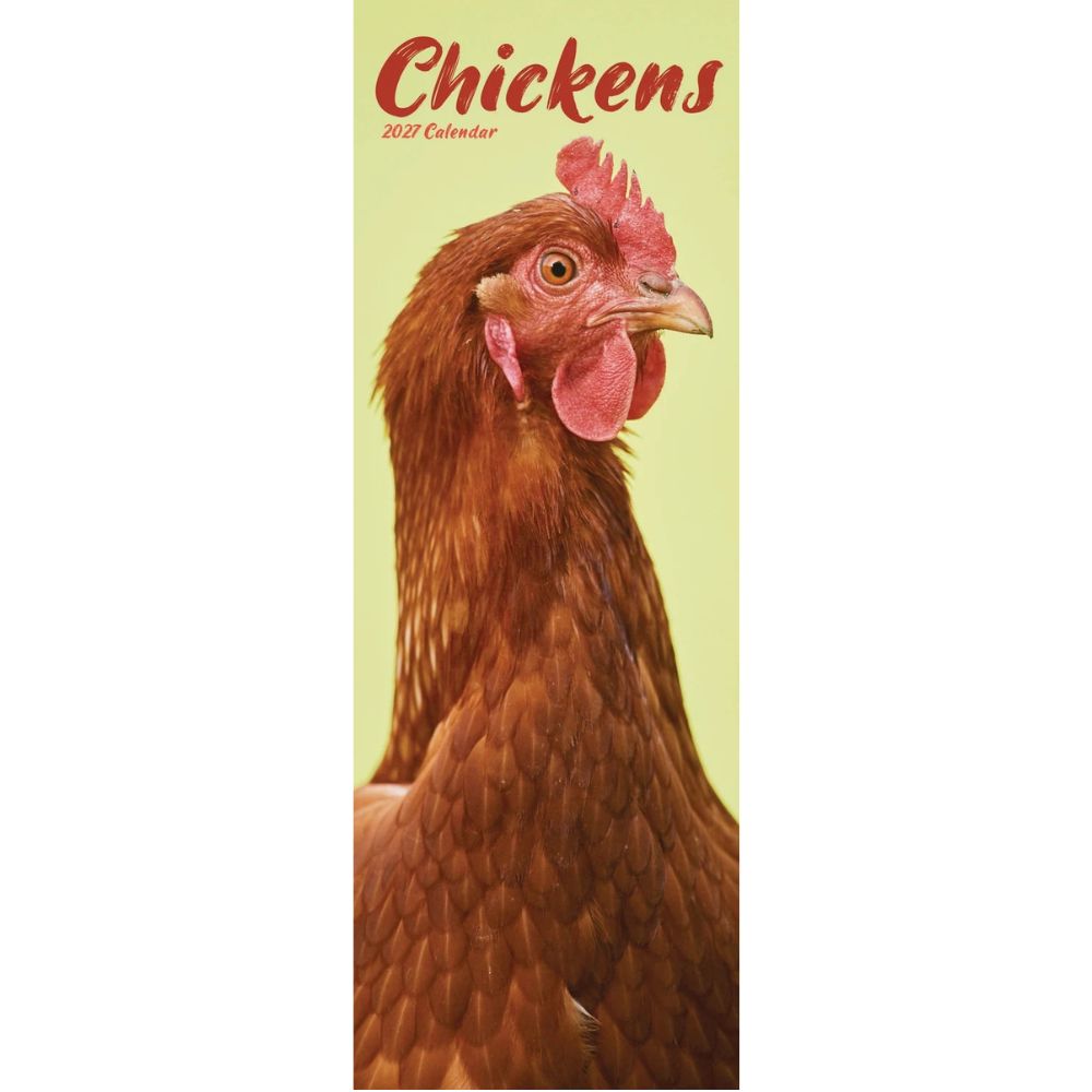 Otter House Chickens Slim Calendar 2027