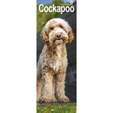 Otter House Cockapoo Slim Calendar 2027