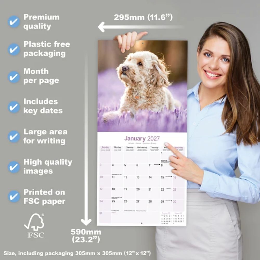 Otter House Cockapoo Wall Calendar 2027